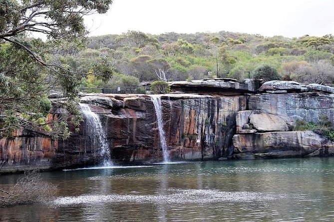 Royal National Park Private Tour - A private Royal National Park day, run like a real plan