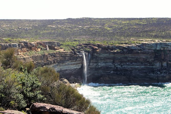 Royal National Park Private Tour - Sea Cliff Bridge: cantilever curves above the ocean