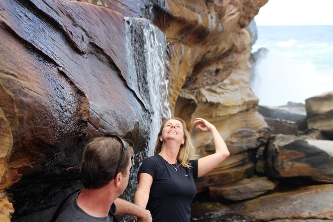 Royal National Park Private Tour - Morning logistics that matter: hotel pickup and smooth timing