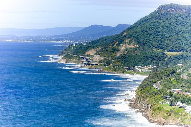 Sea Cliff Bridge, Kiama Blowhole, Beaches & Wildlife Small Group - Key Highlights I’d Prioritize