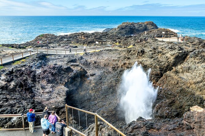 Sea Cliff Bridge, Kiama Blowhole, Beaches & Wildlife Small Group - Minnamurra Coastal Walk: Basalt Cliffs and Real Walking Time