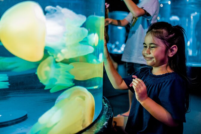 SEA LIFE Sydney Aquarium Entrance Ticket - Getting in smoothly: timed entry, mobile ticket, and show-up rules