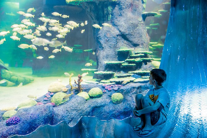 SEA LIFE Sydney Aquarium Entrance Ticket - Photo pass and the little extras that help