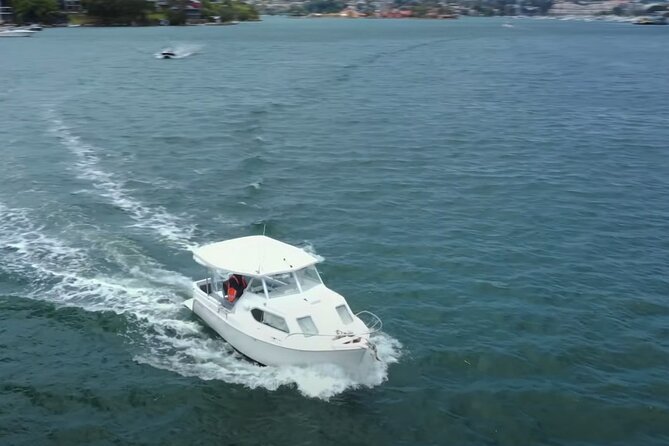 Self Drive Boat Hire Sydney Harbour (No license required) - Pet-friendly sailing on Coral (and how to make it comfortable)