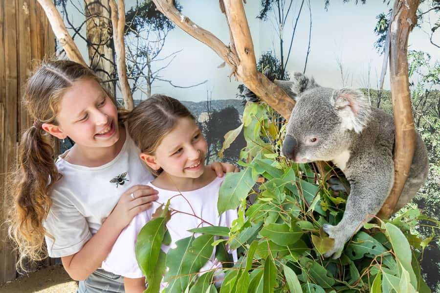 Small Group Blue Mountains, Wildlife & Scenic World Day Tour - Key Highlights You Should Know
