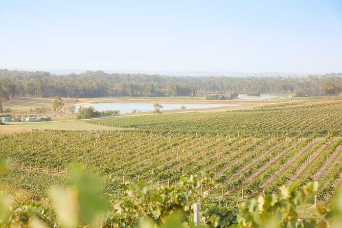 Small Group Hunter Valley Wine Tour w Lunch, Gin, Cheese & Choc - Who should book this Hunter Valley tour (and who should think twice)