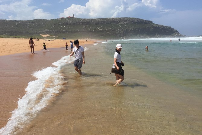 Small-Group Sydney's Northern Beaches & Ku-ring-gai Park Tour - Value check: is €252.26 worth it for a 7-hour day?