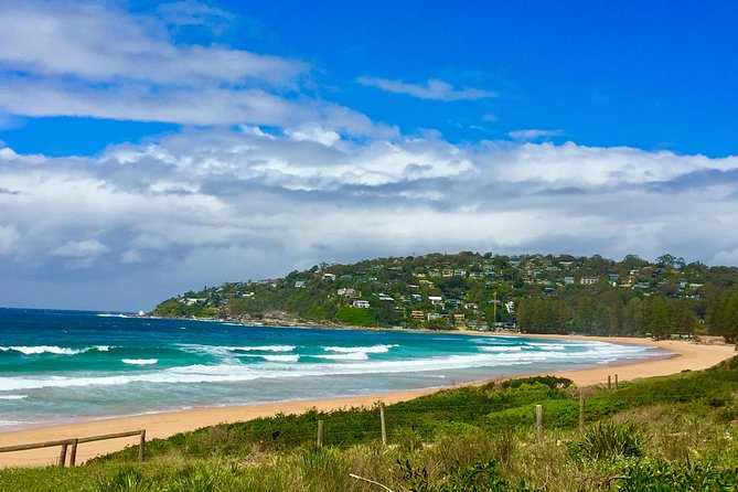 Small-Group Sydney's Northern Beaches & Ku-ring-gai Park Tour - Who should book this Northern Beaches & Ku-ring-gai day tour?