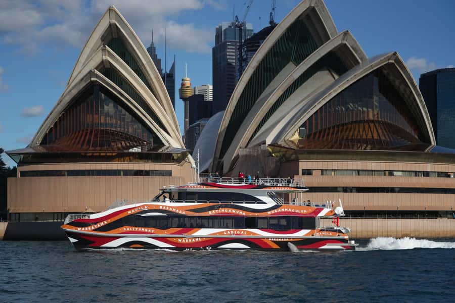 Sydney: 2-hour Express Whale Watching Cruise - How the Hunt Works: Searching for Whales in a Short Window