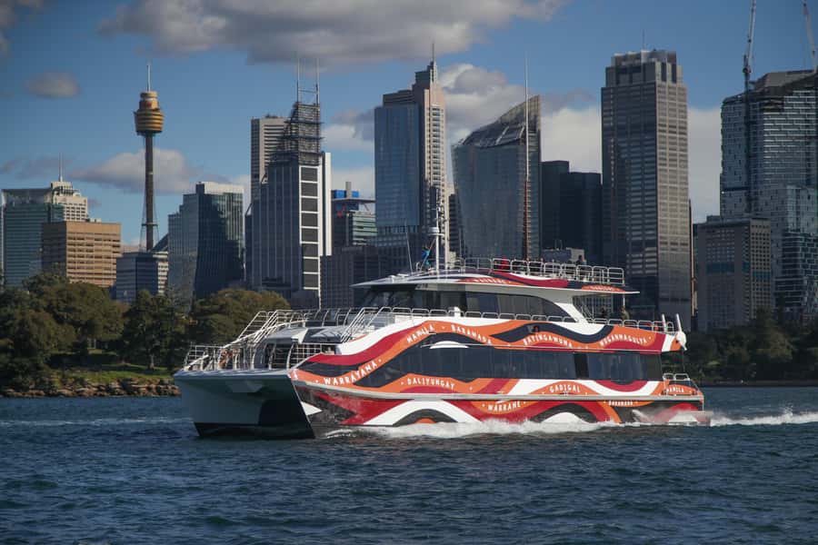 Sydney: 2-hour Express Whale Watching Cruise - Price and Value: Why $63 Can Make Sense Here