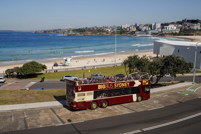 Sydney 3, 5, or 7 Ticket Flexi Pass - Zoos and wildlife: best use of your credits if you love animals