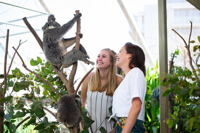 Sydney Attractions Pass: SEA LIFE Aquarium, Sydney Tower Eye, WILD LIFE Zoo and Madame Tussauds - Using the mobile ticket and choosing your 2–4 stops
