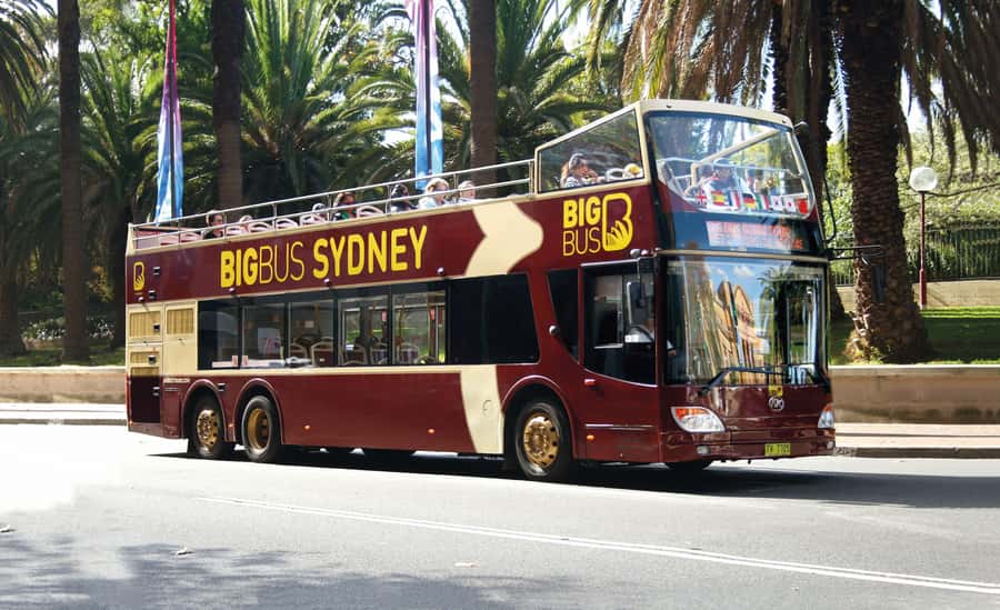 Sydney: Big Bus Hop-On Hop-Off Tour with Optional Cruise - Practical Stuff to Know Before You Hop On
