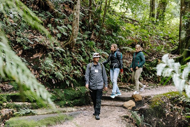 Sydney Blue Mountains Day Tour with Wildlife Park and Waterfalls - Entering the day: how the Sydney-to-mountains timing feels