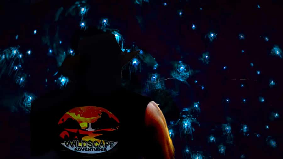 Sydney: Blue Mountains Glow Worms Wild Adventure by Night - A Night Hike With Headlamps and Starry Glow Worms