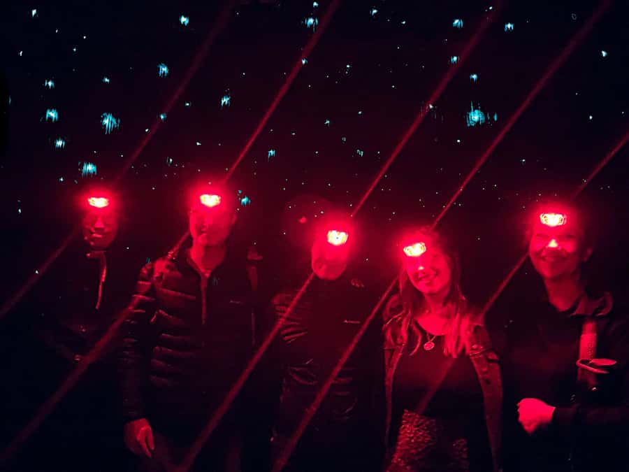 Sydney: Blue Mountains Glow Worms Wild Adventure by Night - Safety and Pacing: A Night Hike You Can Actually Enjoy
