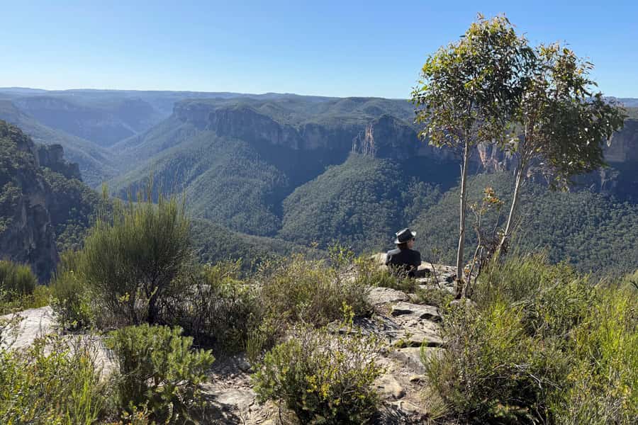 Sydney: Blue Mountains Kangaroos, Wilderness and Sunset Tour - Govetts Leap and canyon country: where the day turns into walking