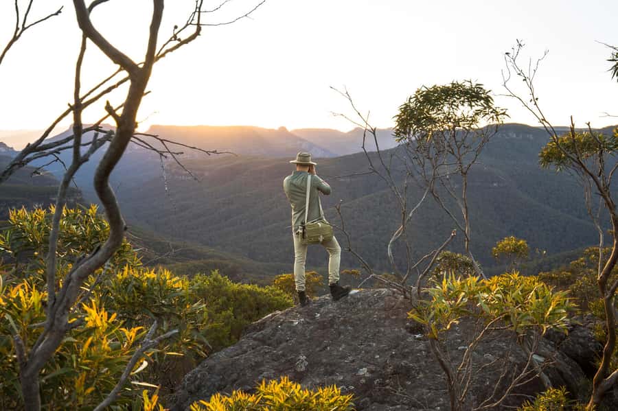 Sydney: Blue Mountains Kangaroos, Wilderness and Sunset Tour - Rainforest walks and weather changes: when the plan flexes
