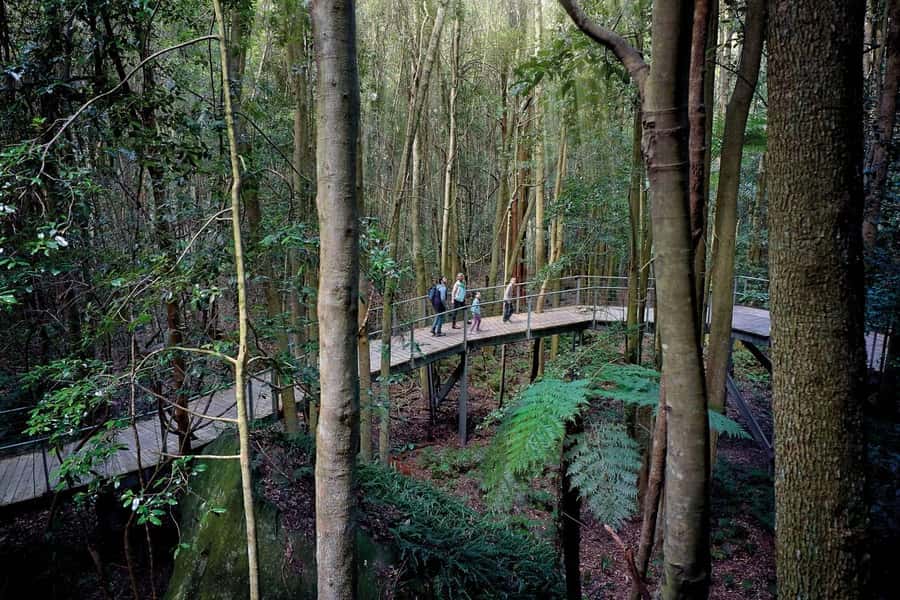 Sydney: Blue Mountains National Park Tour with River Cruise - Leura: quick village time and a flexible lunch break