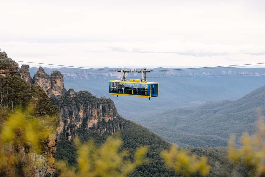 Sydney: Blue Mountains Scenic World, Wildlife Park and Lunch - Key things that make this Blue Mountains day tick