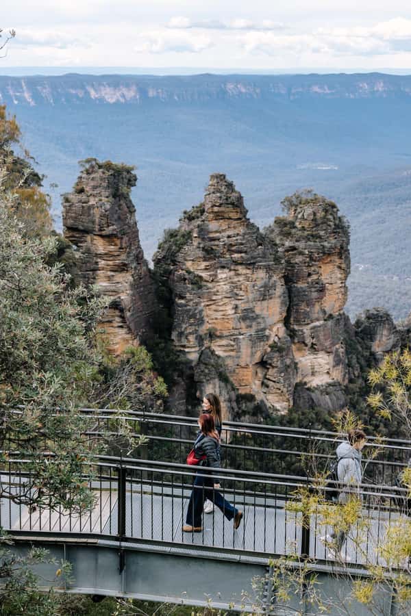 Sydney: Blue Mountains Scenic World, Wildlife Park and Lunch - The road to the viewpoints: built-in photo moments, plus real context