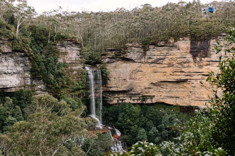 Sydney: Blue Mountains Scenic World, Wildlife Park and Lunch - Who should book this Blue Mountains Signature day trip?