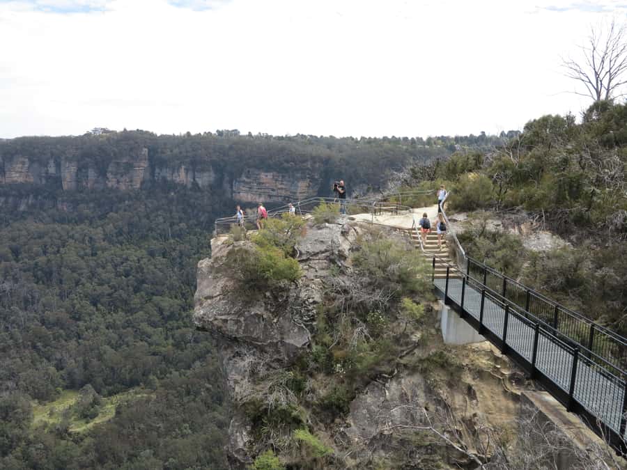 Sydney: Blue Mountains Wildlife & Bushwalk Small-Group Tour - Wentworth Falls bushwalk: short, real walking with choices