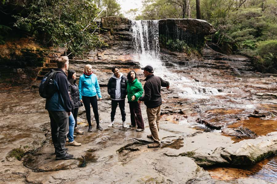 Sydney: Blue Mountains Wildlife & Bushwalk Small-Group Tour - Three Sisters: iconic views with a calmer approach