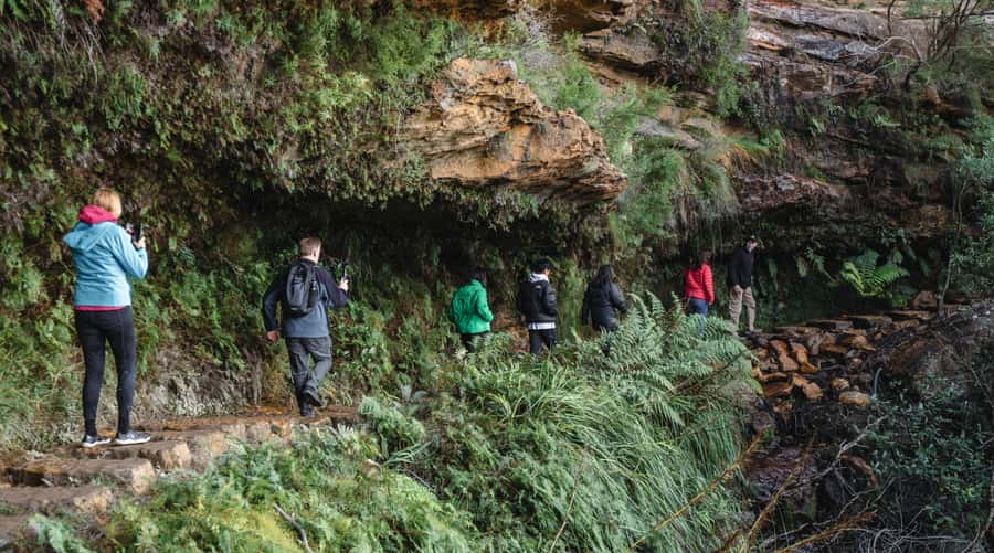 Sydney: Blue Mountains Wildlife & Bushwalk Small-Group Tour - Featherdale Wildlife Park: kangaroos, koalas, and a visit that doesn’t drag