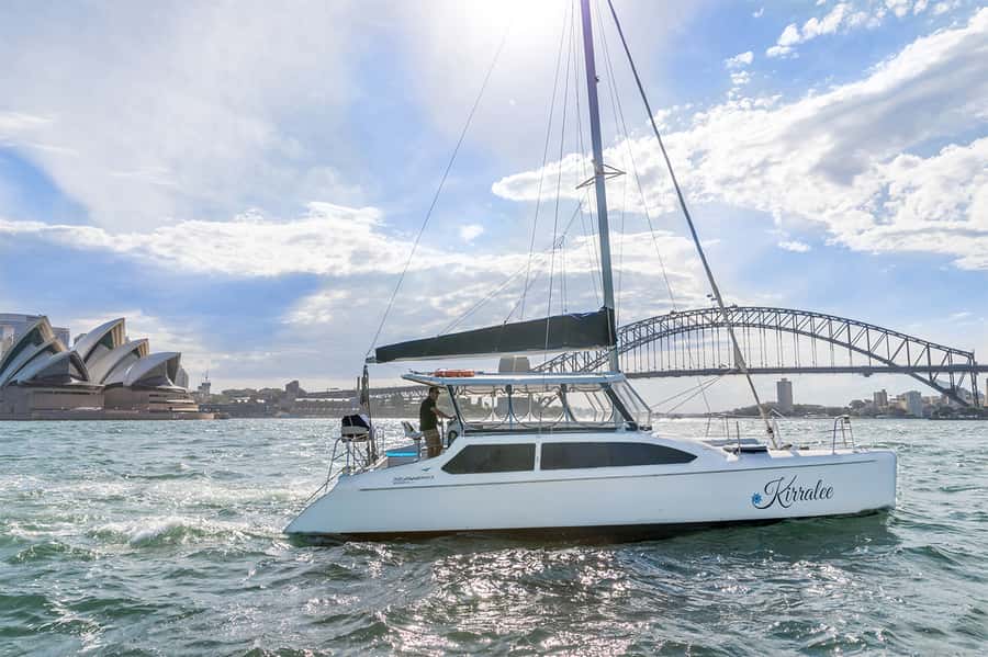 Sydney: Bring Your Own Drinks Vivid Harbour Cruise - Key things you’ll like about this Vivid Harbour Cruise