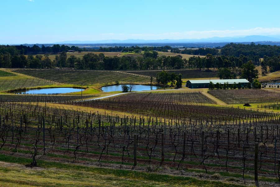 Sydney: Chef-Led Hunter Valley Food & Wine Tour - Key moments worth booking for
