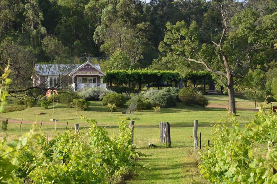 Sydney: Chef-Led Hunter Valley Food & Wine Tour - Getting from Sydney to Hunter Valley: plan for a full 12 hours