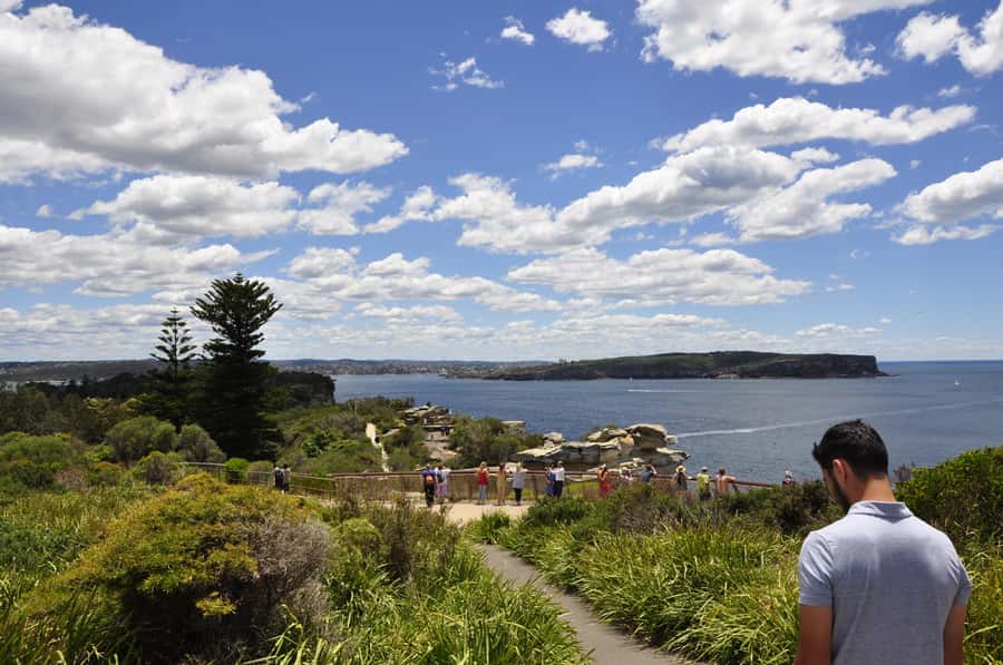 Sydney: City Highlights Guided Bus Tour - Potts Point and Kings Cross: the city’s edge-of-centre personality