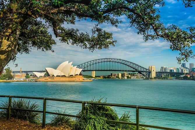 Sydney Combo: Morning Sightseeing to Bondi & Harbour Lunch Cruise - Bondi Beach in the Right Dose: How to Use 30 Minutes