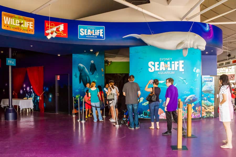 Sydney: Combo Pass for 2, 3, or 4 Top City Attractions - Who This Sydney Combo Pass Is Best For