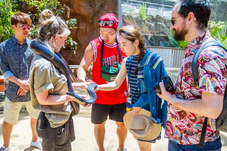 Sydney: Combo Pass for 2, 3, or 4 Top City Attractions - How the Sydney Combo Pass Works (Swipe Card + Monthly Entry)
