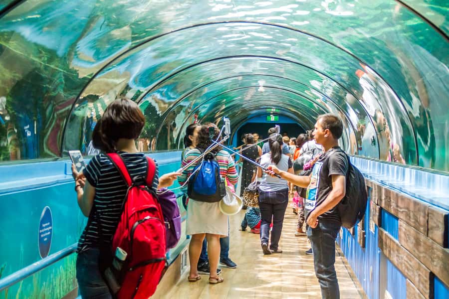 Sydney: Combo Pass for 2, 3, or 4 Top City Attractions - Start at Sydney Aquarium (SEALIFE) on Darling Harbour