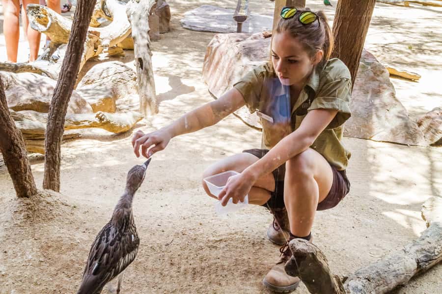 Sydney: Combo Pass for 2, 3, or 4 Top City Attractions - Practical Tips That Make Entry Smoother