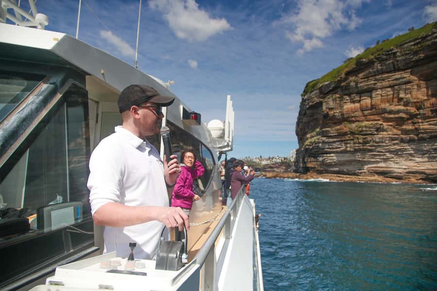 Sydney: Discovery Whale Watching Tour by Catamaran - The whale watching rhythm: fast run out, then the search and chase