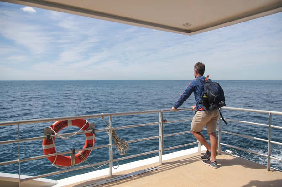 Sydney: Discovery Whale Watching Tour by Catamaran - Sea conditions and comfort: what to expect when it gets choppy