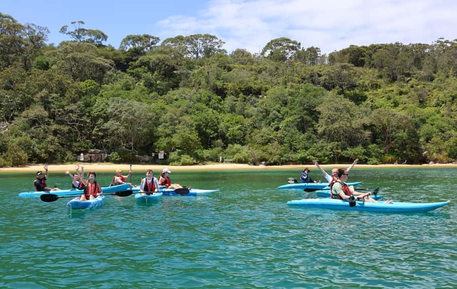 Sydney: Guided Kayak Tour of Manly Cove Beaches - Paddling Manly Cove: caves, mini-waterfalls, and rock formations