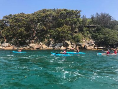 Sydney: Guided Kayak Tour of Manly Cove Beaches - Kayak basics: life jacket fit and single vs double choices