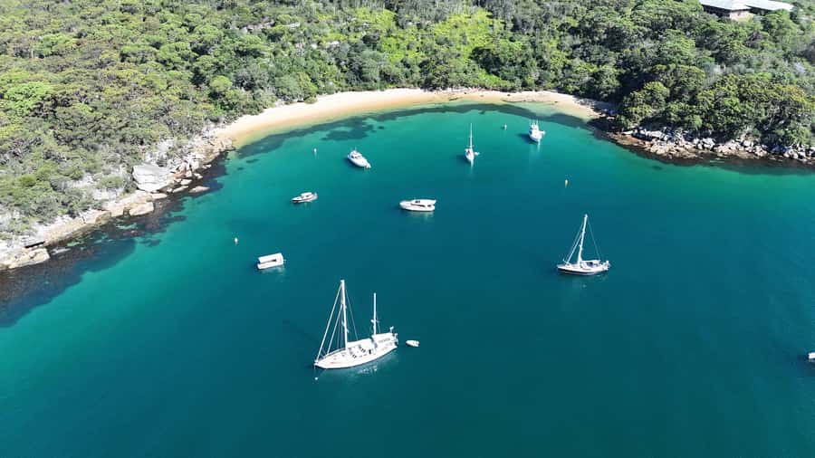 Sydney: Guided Kayak Tour of Manly Cove Beaches - Should you book the Manly Cove kayak tour?