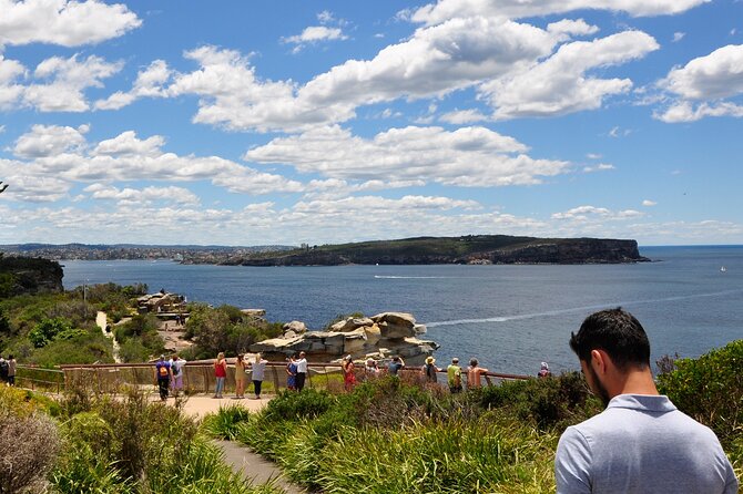 Sydney Guided Sightseeing Bus Tour - The Domain, Royal Botanic Garden, and Opera House sightlines you can’t miss