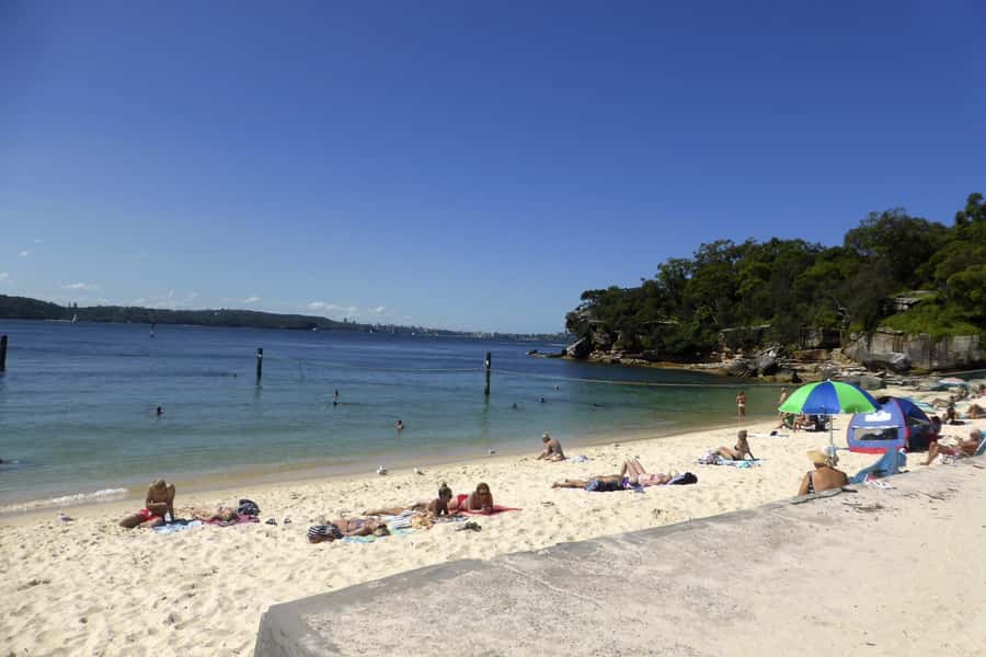 Sydney: Half-Day City Tour - The guide is the product: Katja, Ben, Jelle, and the rest