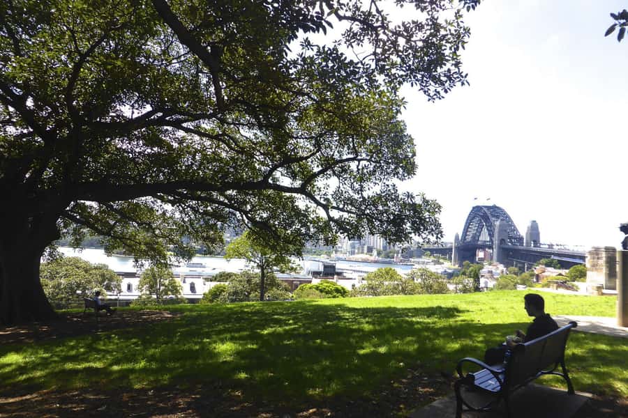 Sydney: Half-Day City Tour - Watson’s Bay to the Gap to Dover Heights: sea views with built-in variety