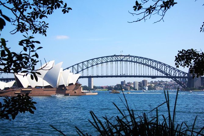 Sydney Half Day Private Tour: See Sydney Opera House and Bondi - The Rocks, Circular Quay, and the harbor as your guiding thread