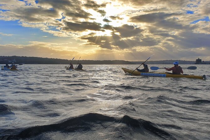 Sydney Harbour Bridge Kayak & Breakfast Tour - Meeting at Quibaree Park and getting on the water