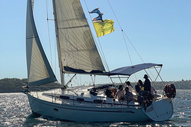 Sydney Harbour Sailing Experience - Luna Park and Harbour Views: The Fun-Color Stretch