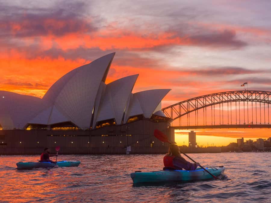 Sydney: Harbour Sunrise Kayak Tour - Key highlights worth planning around